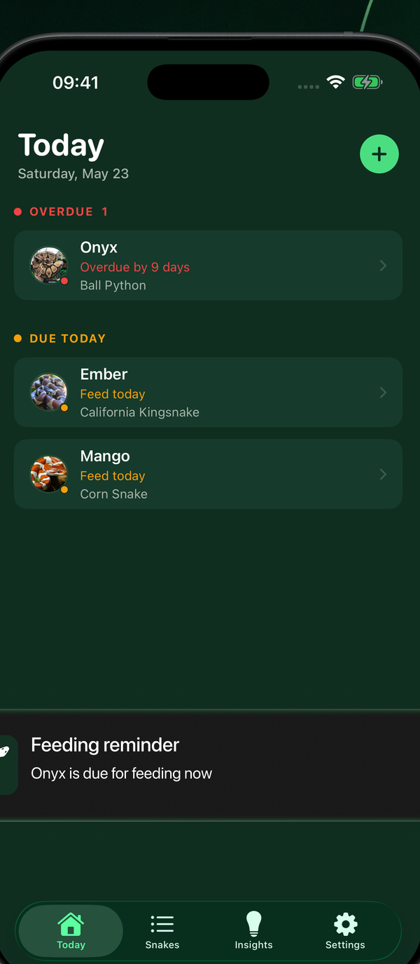 Snakey Today screen: overdue and due-today snakes with a feeding reminder notification